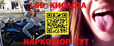 гашик Малгобек